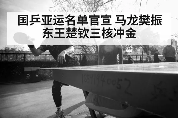 Ma Long table tennis