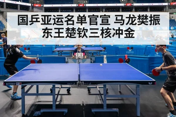 table tennis competition
